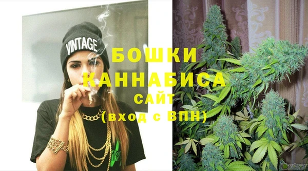PSILOCYBIN Карпинск