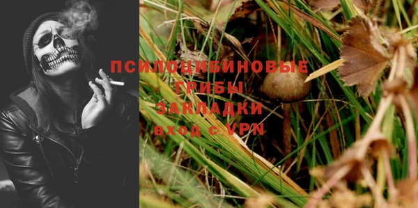 apvp Касимов