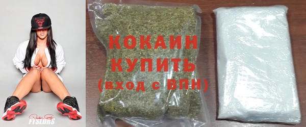 PSILOCYBIN Карпинск