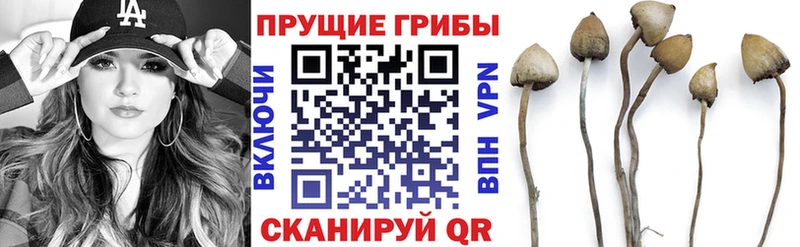 Псилоцибиновые грибы мухоморы Купить закладки Корсаков